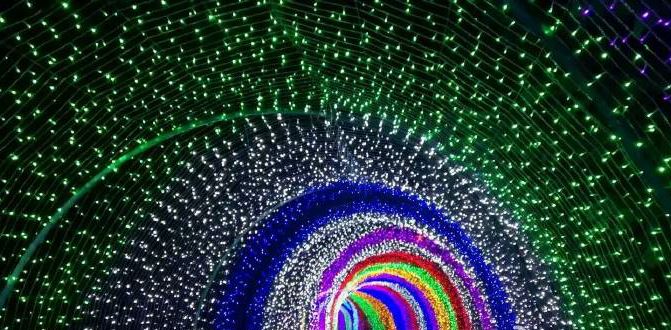 统一冰红茶拉罐整箱,统一冰红茶推广视频