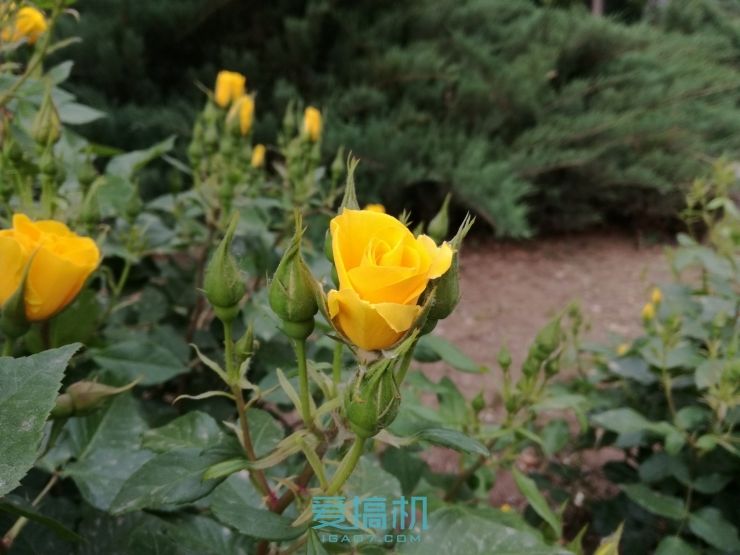 华为g9青春版跑分,怎么测试华为g9青春版