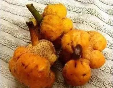 吃过这五种水果是土豪,这些水果吃过一半以上的全是土豪