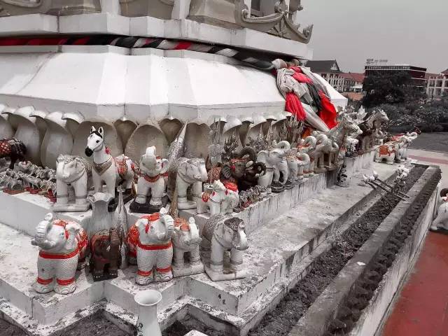 每个职业旅行者都想当旅行界的papi酱，然而。。。