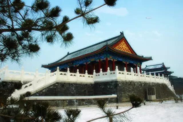 身份证450开头为什么全球免签,身份证丢了急用出国旅游怎么办