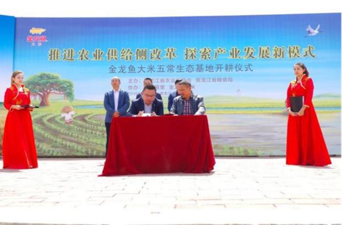 真正的五常大米是怎么样,真正的五常大米去哪里吃