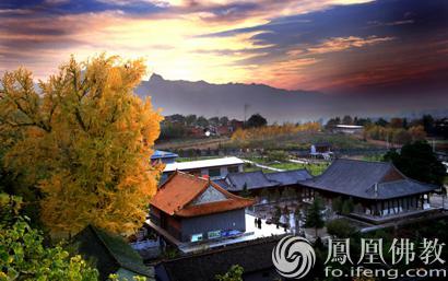 一个女博士的佛门实践:我在禅堂被“痛打”