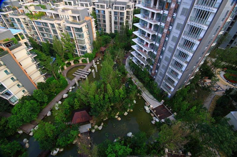 衰老的金丝熊,衰老的三大特征