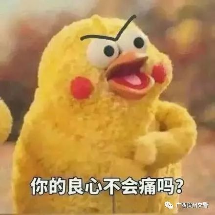 「曝光台」桂JGP212、桂JP6168、桂JC1383请注意！你们车前有行人！