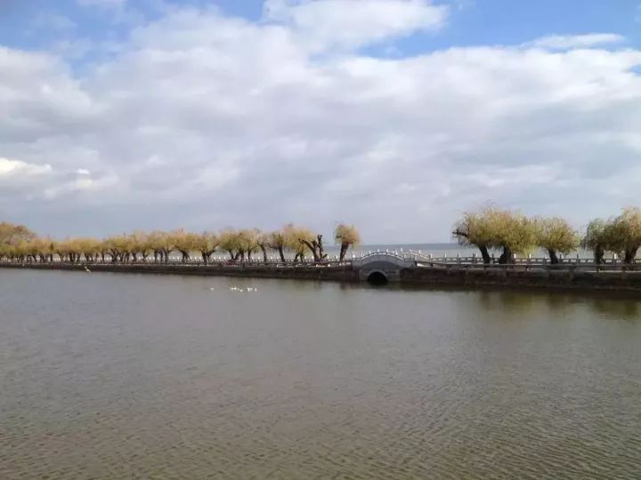 昆明看红嘴鸥最好的地方叫什么,重庆看红嘴鸥攻略