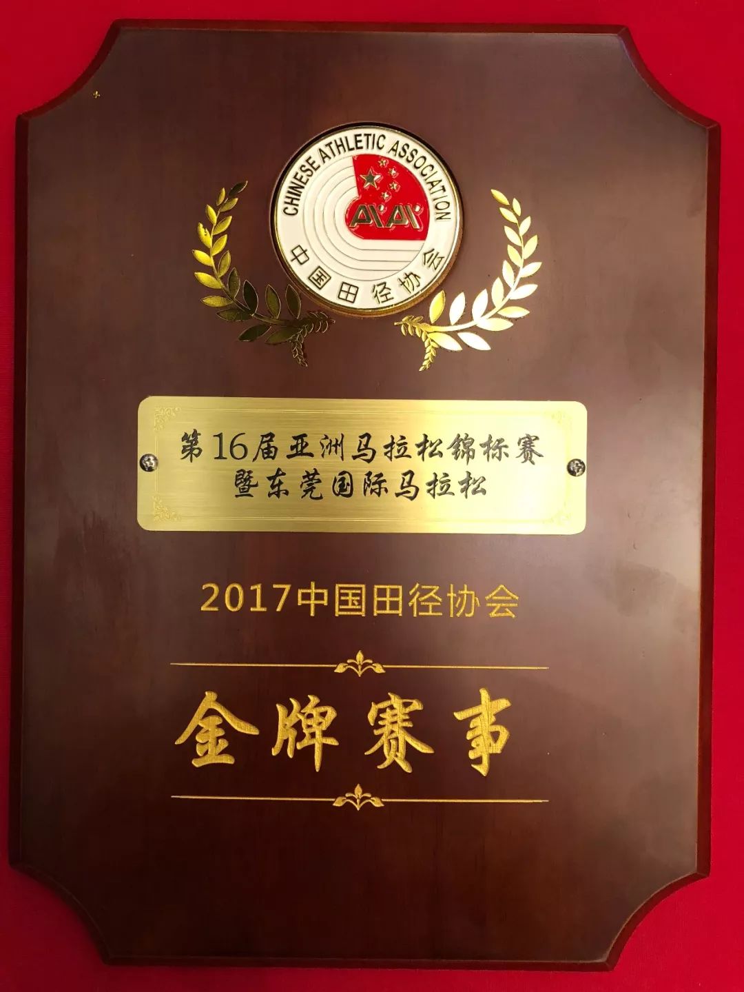 东莞马拉松完赛奖牌,2019东莞马拉松冠军