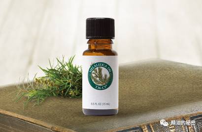 精油5大功效,用这10种精油搞定生活中常见病症