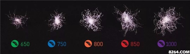 波司登和加拿大鹅差距在哪里,波司登和加拿大鹅哪个更值得入手