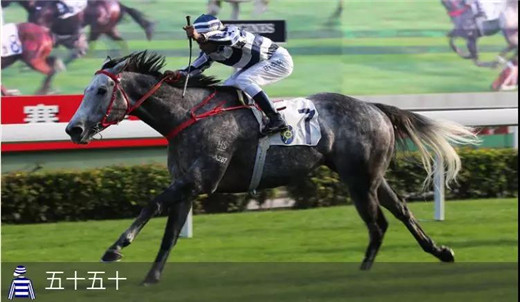 香港三大奖获奖名单,香港三冠奖金是多少