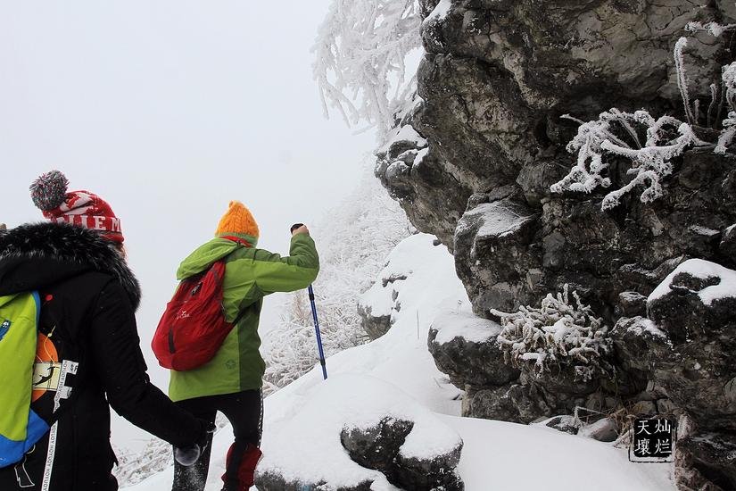 赏雪何须去北国,赏雪不用去远方