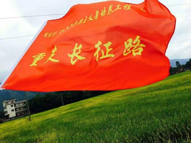 青马是什么马图片,大青马和一般的马