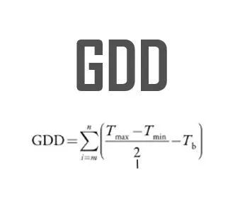 球场管理,球场运营管理经验