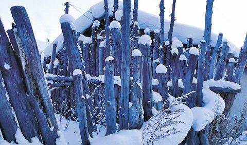 阿尔山森林哪里好玩,真实的阿尔山