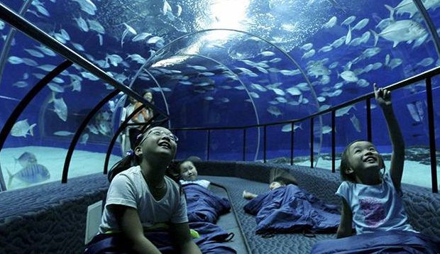 台湾最文艺的地方是哪里,台湾真正的文艺之地