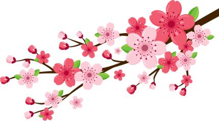 阴阳师新年活动抽卡爆率,阴阳师新年抽卡几号上线