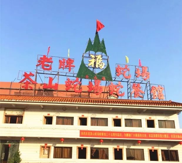 广东广州美食推荐越秀,广州美食推荐越秀