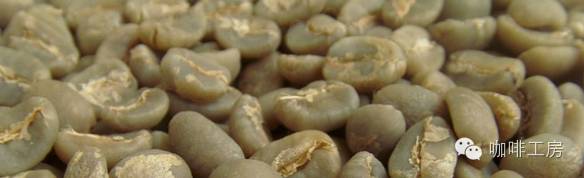 咖啡师入门必看的咖啡知识,精品咖啡学中咖啡的基本知识