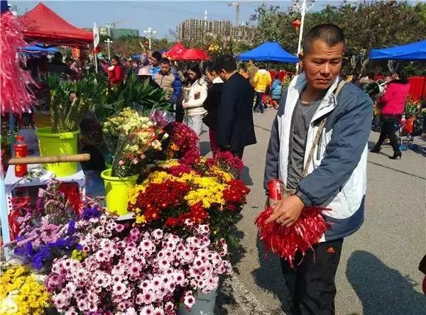 广东佛山花市游玩攻略,广东省佛山市行花街