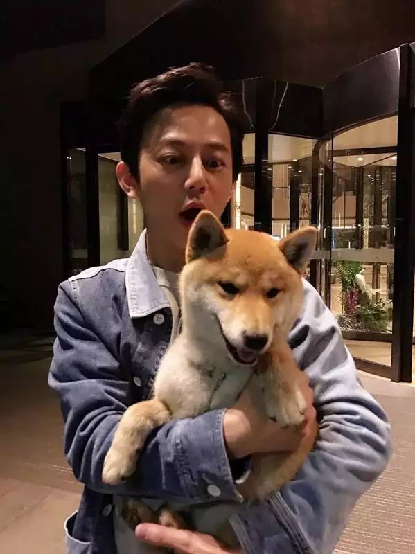 毕竟爱狗｜哈哈哈哈哈哈……听说你们要买狗年单品？我就真的不拦了！