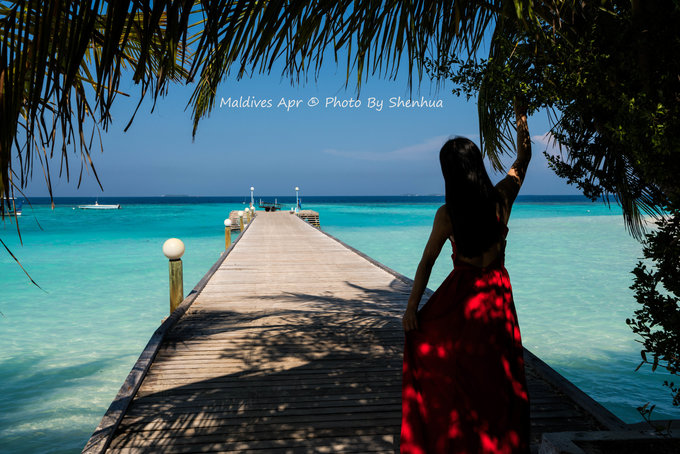 马尔代夫蓝色美人蕉旅游攻略,马尔代夫蓝色美人蕉岛攻略