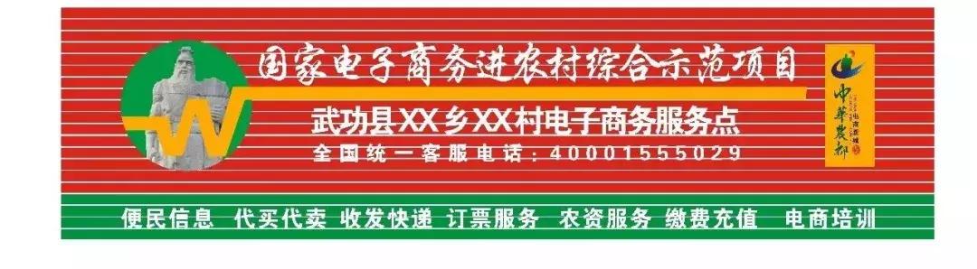 国家电子商务进农村示范工程,电子商务进农村农村物流整合方案