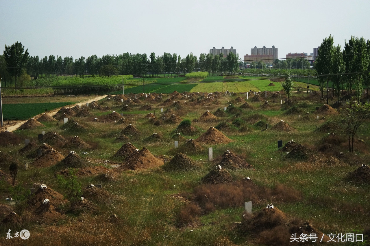 春节祭祖需要准备什么,祭祖文化春节祭祖正确步骤