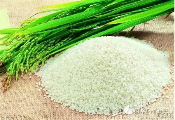 阿城现在的生活,阿城现在如何