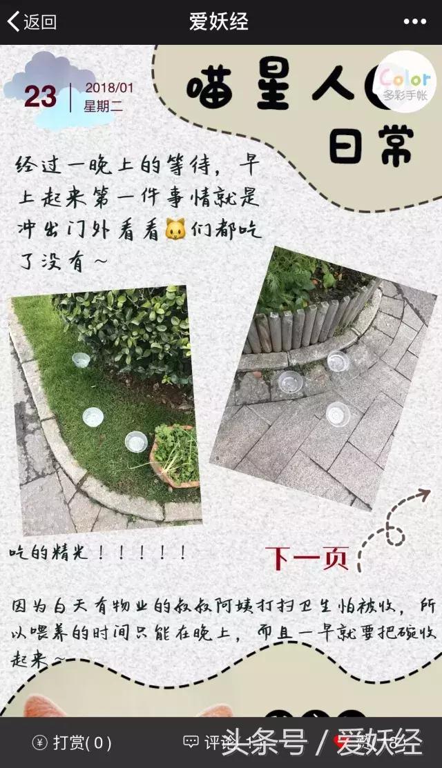 爱妖经陪你过暖冬｜爱要有你才温暖