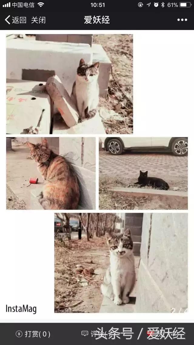 爱妖经陪你过暖冬｜爱要有你才温暖