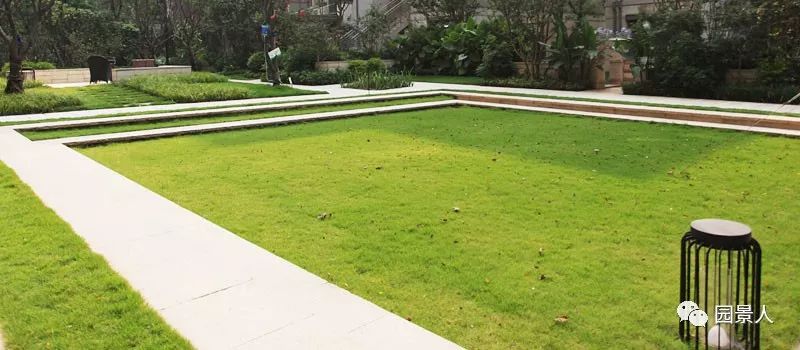 阳光草地美景,福州阳光草坪