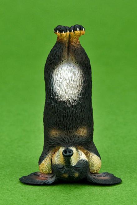 忍者龟玩具2016年版,忍者神龟多纳泰罗模型