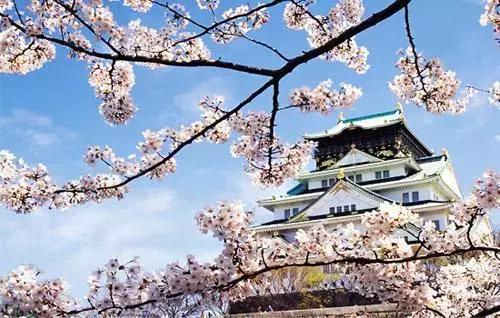 玻尿酸最好的一款,推荐一款最好的玻尿酸