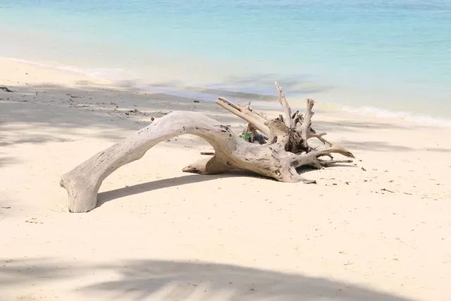 沙巴美人鱼岛该怎么去,美人鱼岛到机场