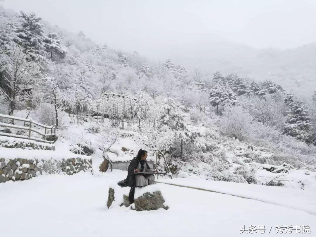 茶道养生课视频教程,茶道养生全集视频