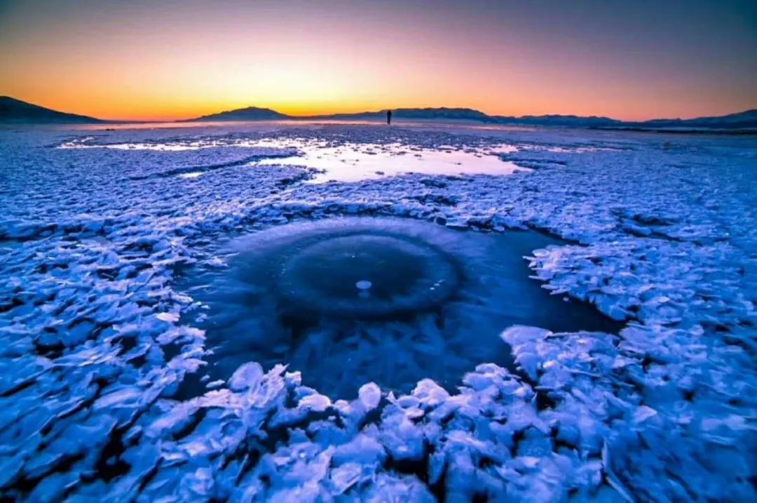 从新疆去内地带什么特产,这些土特产送亲朋好友有面子