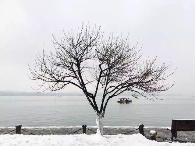 支招!即洗即干,格力净静让你空出阳台看雪景