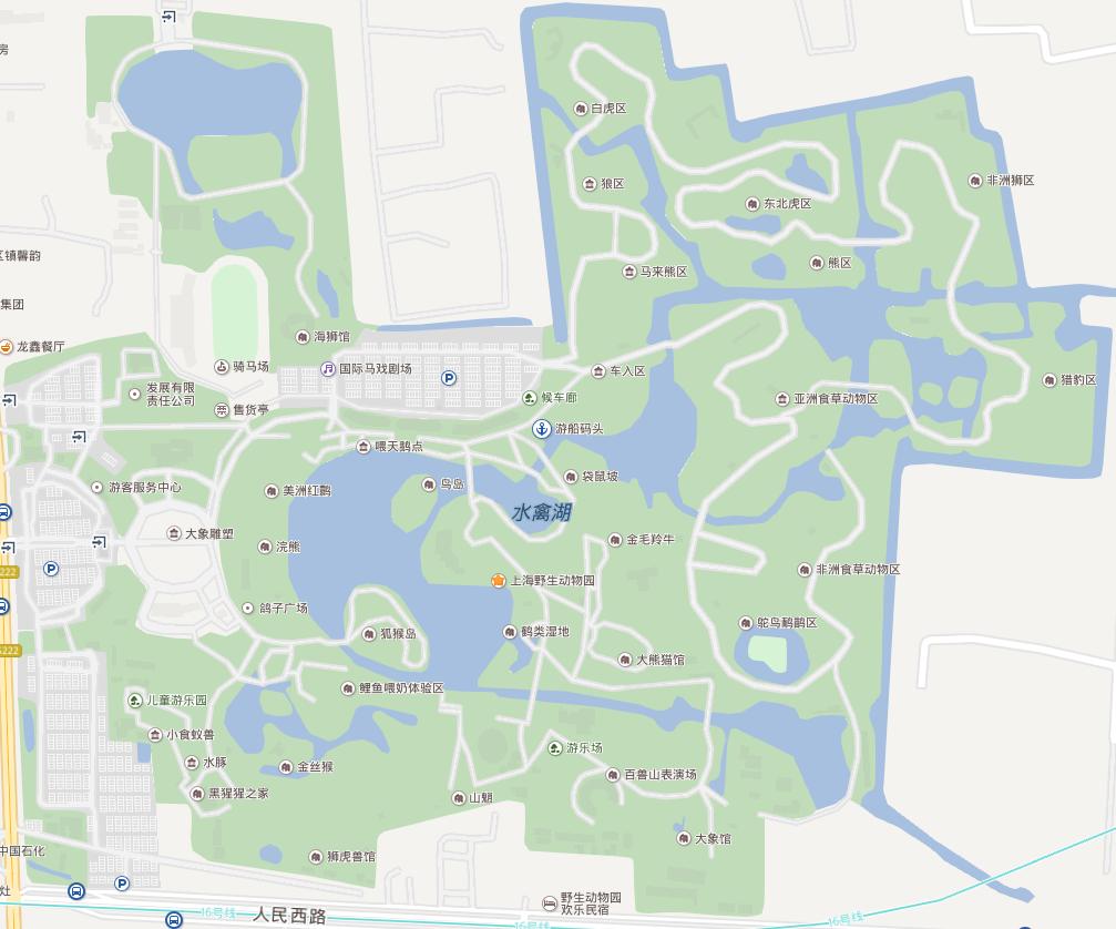 上海野生动物园一日游大概多久,上海野生动物园一日游日记三年级