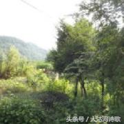 同题诗歌——《冬之恋》45首~总汇