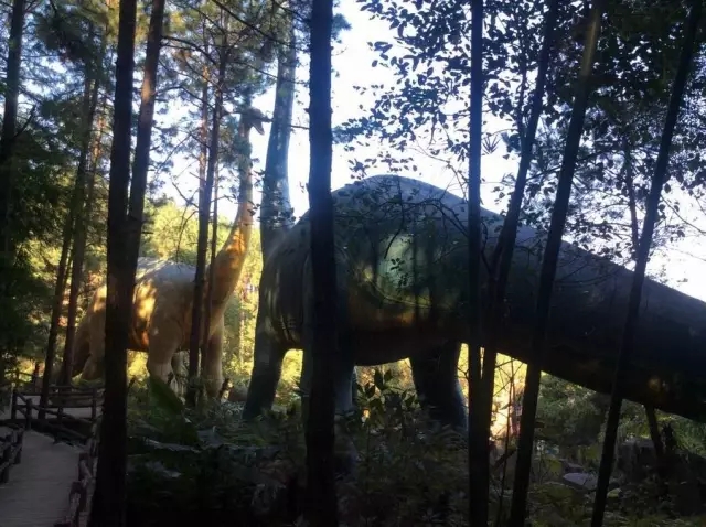 佛冈森波拉别墅度假酒店,清远森波拉温泉度假酒店房间