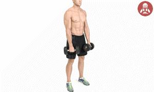 超简单锻炼手臂适合新手,练手臂动作如何不伤手腕