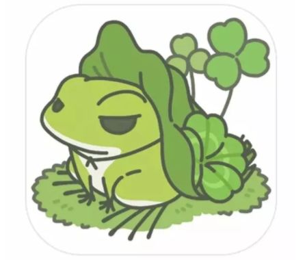 我这个老母亲从青蛙儿子身上，学到了点穿搭学