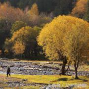 同题诗歌——《冬之恋》45首~总汇