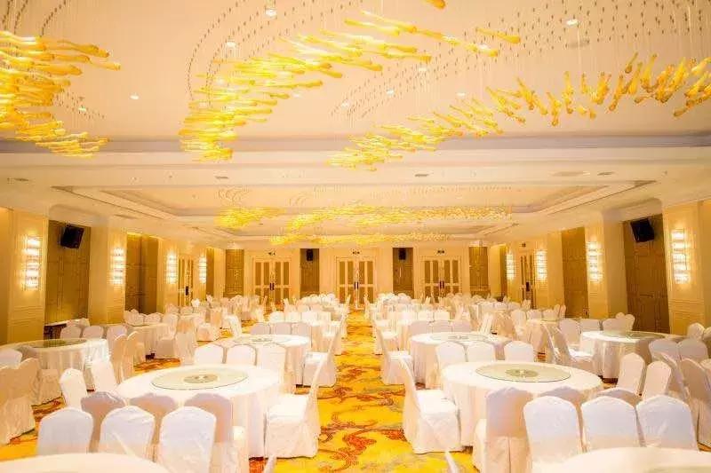 国际青少年乒乓球训练营,国际篮联教练员培训报名