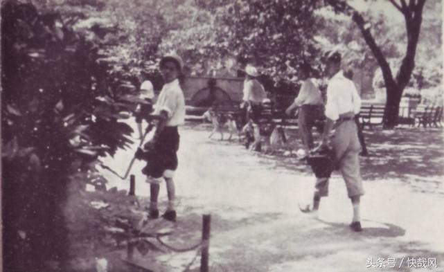 二战日本为何杀光动物园猛兽？一头逃走的黑豹造成东京大骚动