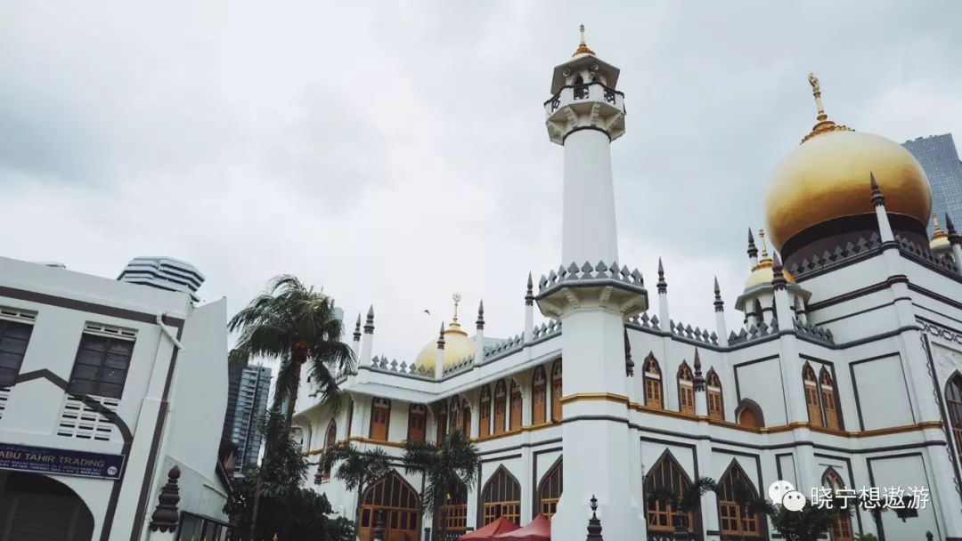 新加坡攻略及所带物品,新加坡攻略游戏