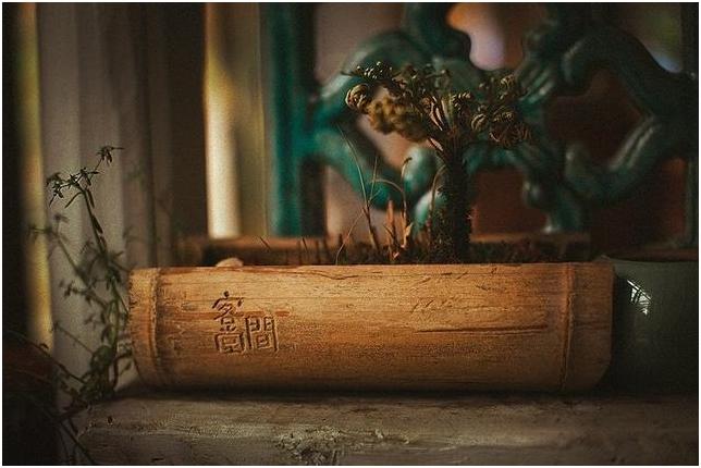 春节上海哪些地方好逛,上海人春节吃什么