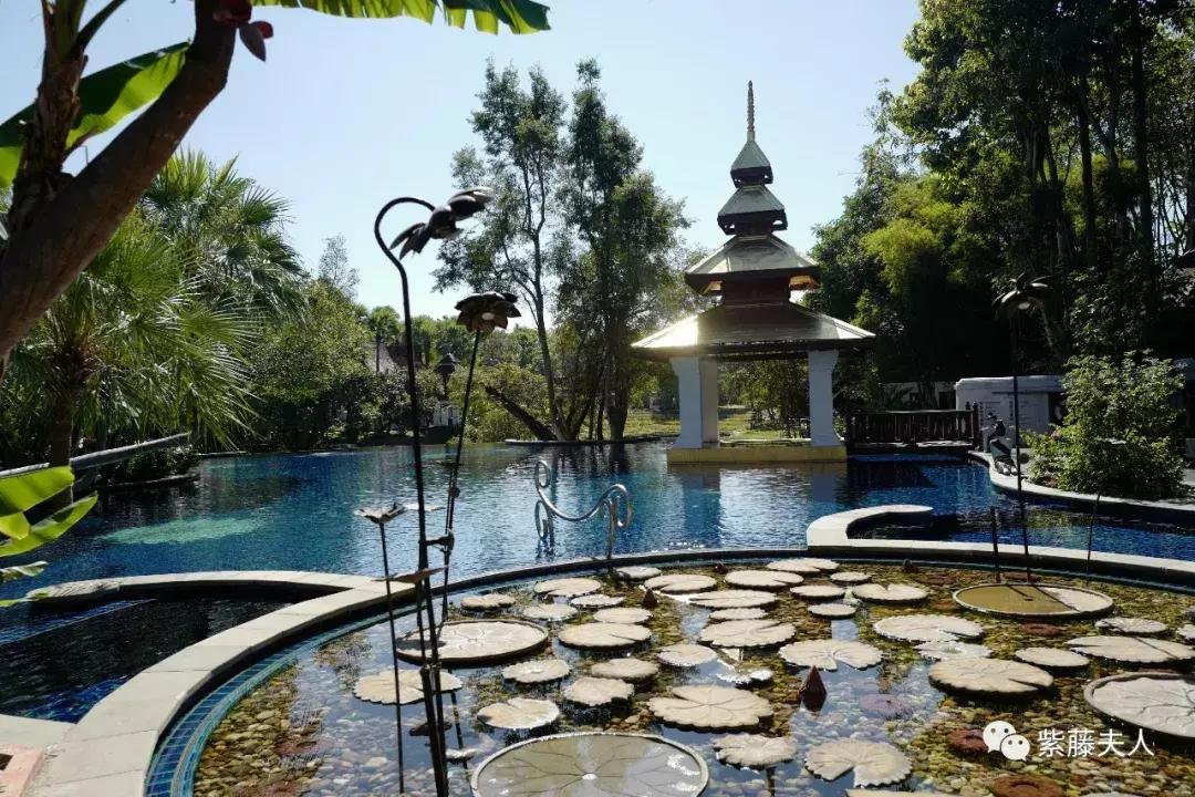 去泰国清迈旅行攻略,最新泰国清迈旅游攻略