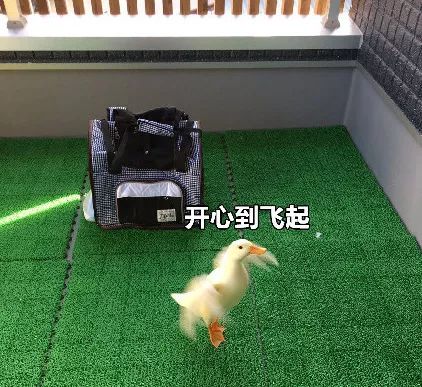 重建一座64层的汉诺塔至少需要多长时间？