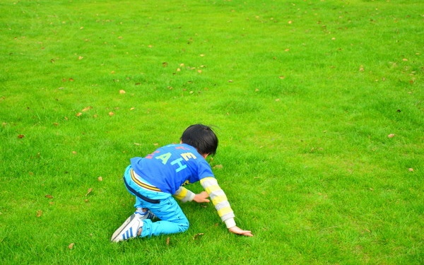 春节到了支个招,让“最熟悉的陌生人”成为你的至亲至爱